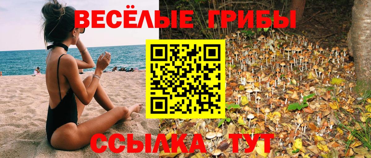 где можно купить наркотик  Галлюциногенные грибы мицелий  Вход с VPN  Ханты-Мансийск  Псилоцибиновые грибы Magic Shrooms 